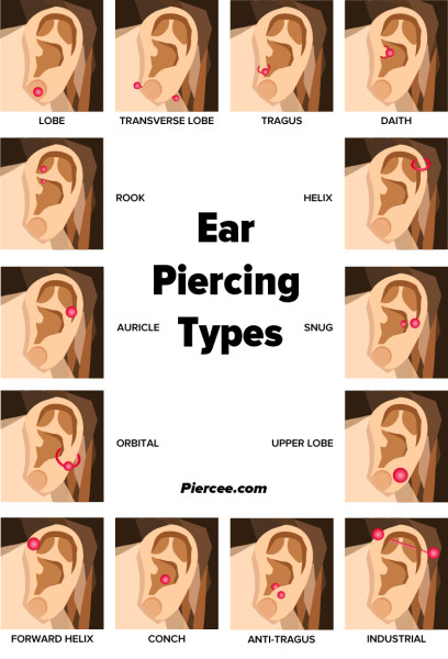 1716888628_31_ear-piercing-types.jpg
